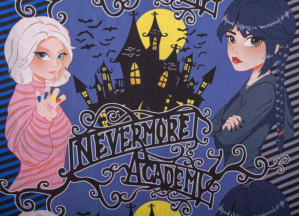 Изображение товара Комплект постельного белья АртПостель Академия 912