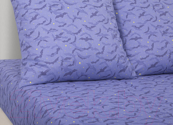 Изображение товара Комплект постельного белья АртПостель Академия 912