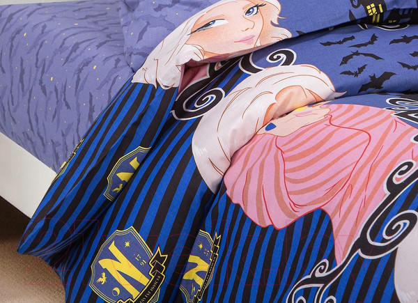 Изображение товара Комплект постельного белья АртПостель Академия 912