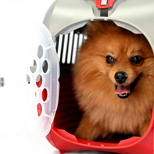Изображение товара Переноска для животных Bama Pet Kennel Tour / 19023 (красный)