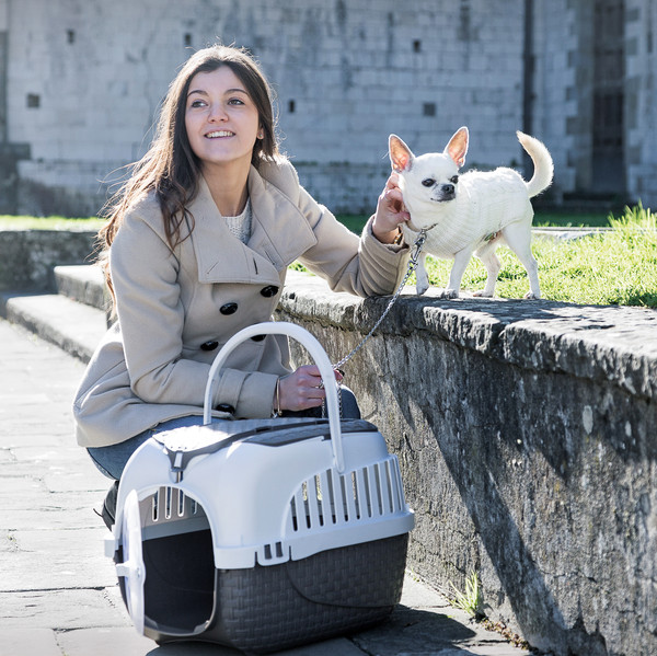 Изображение товара Переноска для животных Bama Pet Kennel Tour Maxi / 19025 (коричневый)