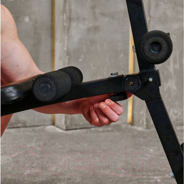 Изображение товара Скамья для пресса DFC FH10015 