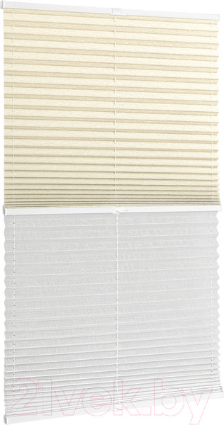 Изображение товара Штора-плиссе Delfa Basic Walnut СПШ-3402/1102 Basic Transparent (52x160, кремовый/белый)