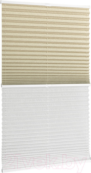 Изображение товара Штора-плиссе Delfa Basic Walnut СПШ-3405/1102 Basic Transparent (48x160, бежевый/белый)