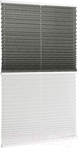 Изображение товара Штора-плиссе Delfa Basic Walnut СПШ-3401/1102 Basic Transparent (43x160, антрацит/белый)