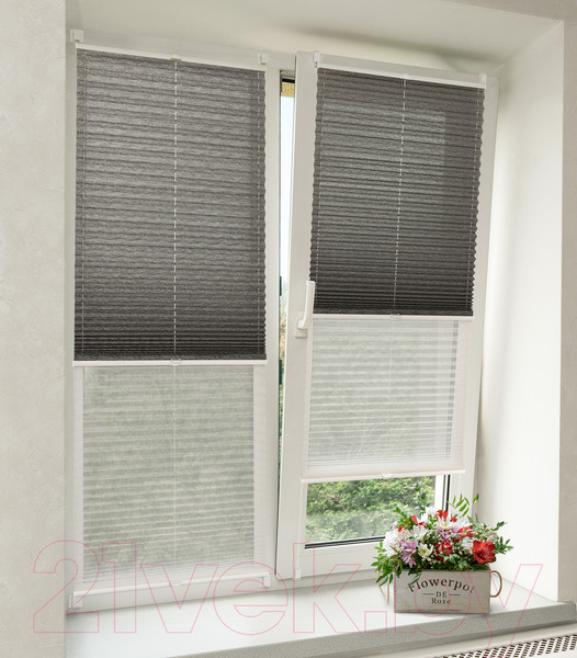 Изображение товара Штора-плиссе Delfa Basic Walnut СПШ-3401/1102 Basic Transparent (48x160, антрацит/белый)