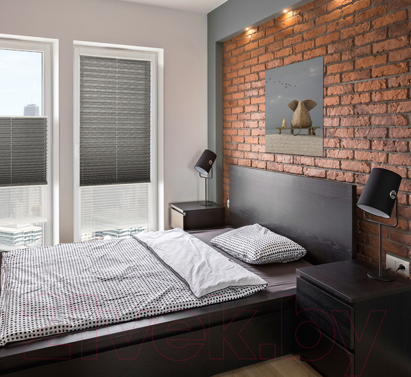 Изображение товара Штора-плиссе Delfa Basic Walnut СПШ-3401/1102 Basic Transparent (48x160, антрацит/белый)