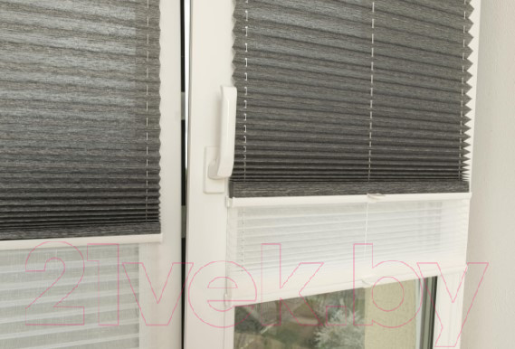 Изображение товара Штора-плиссе Delfa Walnut СПШ-3401/3504 Basic Transparent (62x160, антрацит/белый)