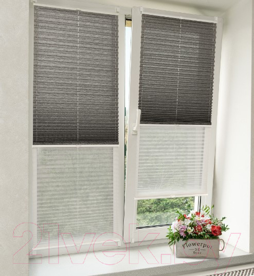 Изображение товара Штора-плиссе Delfa Walnut СПШ-3401/3504 Basic Transparent (62x160, антрацит/белый)
