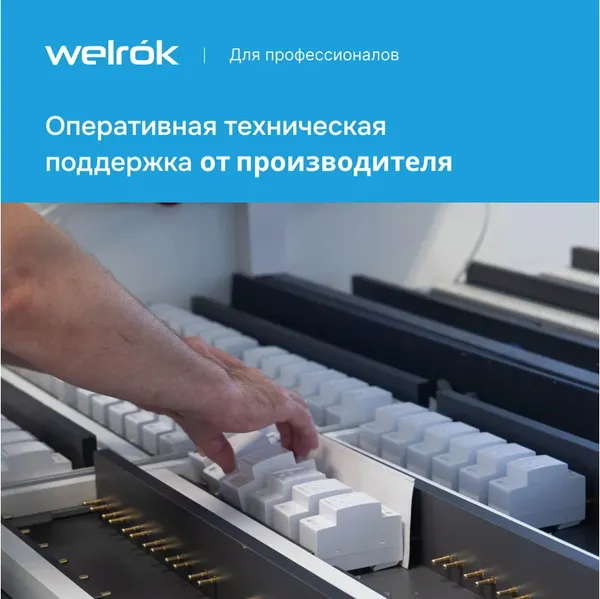 Изображение товара Реле напряжения Welrok PR (красный)