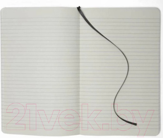 Изображение товара Записная книжка Moleskine Classic Large QP060 (черный)