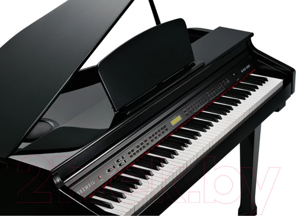 Изображение товара Цифровой рояль Kurzweil KAG100 EP (черный)