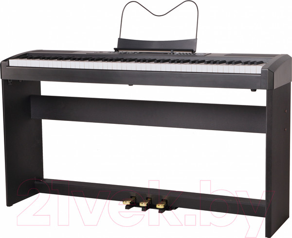 Изображение товара Цифровое фортепиано Ringway RP-35 B