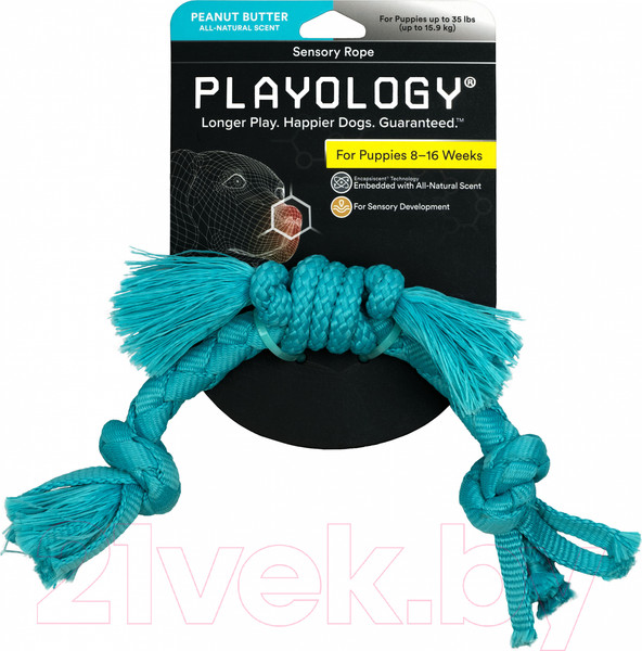 Изображение товара Игрушка для собак Playology Puppy Sensory Rope / P33357 (с ароматом арахиса, голубой)