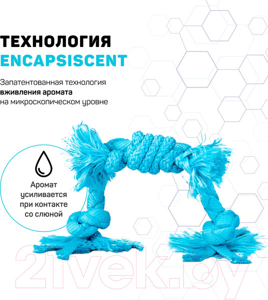 Изображение товара Игрушка для собак Playology Puppy Sensory Rope / P33357 (с ароматом арахиса, голубой)