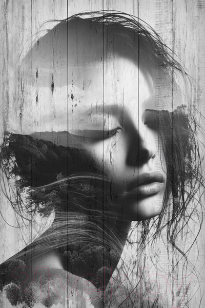 Изображение товара Картина White Wood B112-V-060-090-6.51