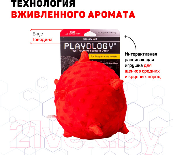 Изображение товара Игрушка для собак Playology Puppy Sensory Ball / P33340 (с ароматом говядины, красный)