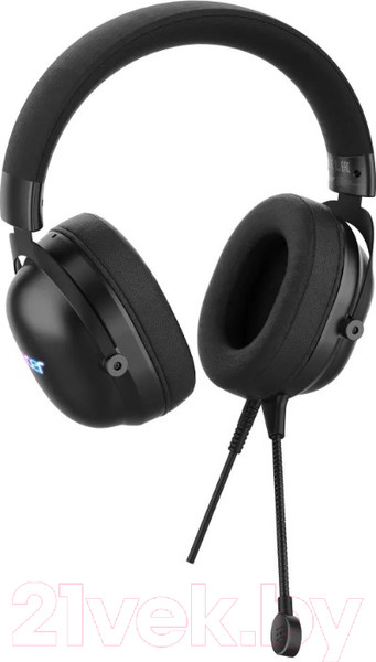 Изображение товара Наушники-гарнитура Acer AHW122 / ZL.HDSCC.01U (черный)