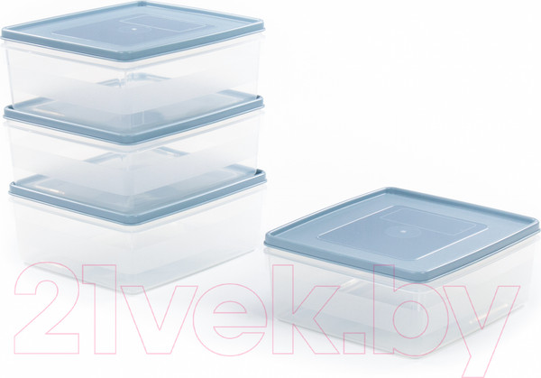 Изображение товара Набор контейнеров Полесье №13 2л с крышками / 73706 (4шт, прозрачный/серо-голубой)