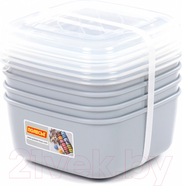 Изображение товара Набор контейнеров Полесье №38 2.4л с крышками / 73751 (4шт, дымчатый/прозрачный)