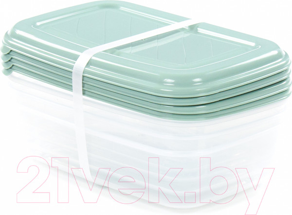 Изображение товара Набор контейнеров Полесье №40 1.6л с крышками / 73782 (4шт, прозрачный/бледно-оливковый)