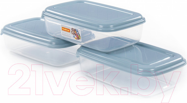 Изображение товара Набор контейнеров Полесье №41 2.7л с крышками / 73836 (3шт, прозрачный/серо-голубой)