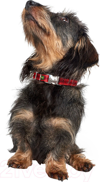 Изображение товара Ошейник HUNTER Collar Davao Alu-Strong / 65488 (40-55/L, красный)