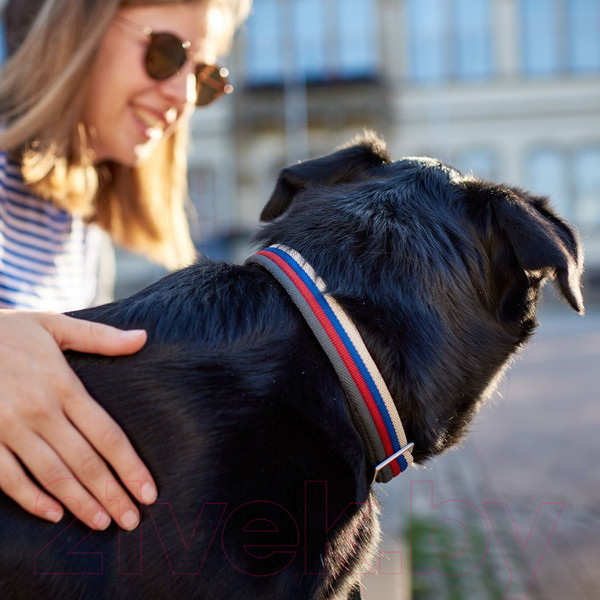 Изображение товара Ошейник HUNTER Collar Davao Alu-Strong / 65493 (40-55/L, мультиколор)