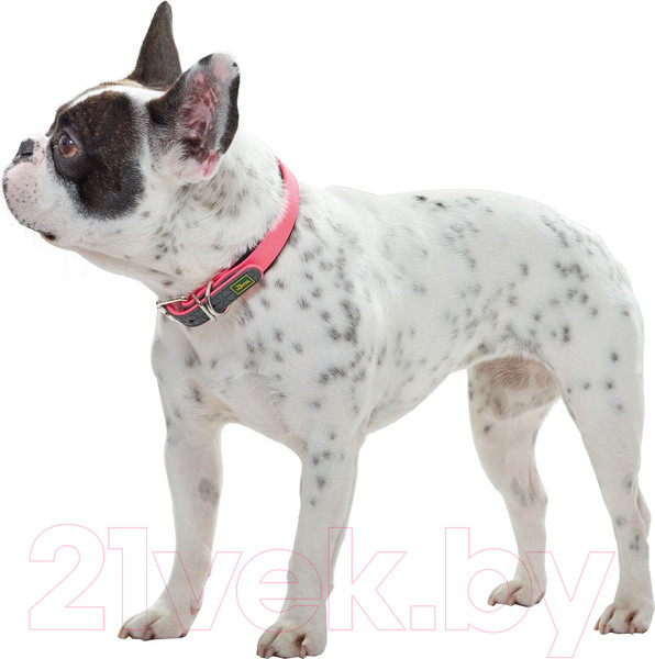 Изображение товара Ошейник HUNTER Collar Convenience Comfort / 63090 (40/S, неоновый розовый)