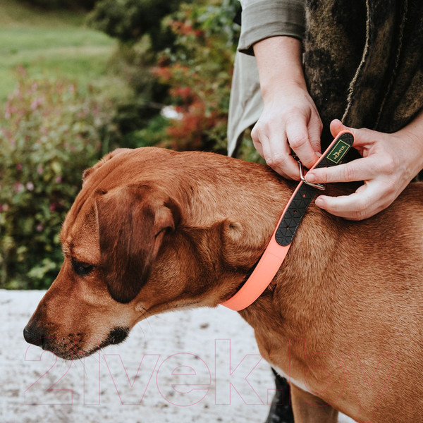 Изображение товара Ошейник HUNTER Collar Convenience Comfort / 63107 (55/M-L, неоновый оранжевый)