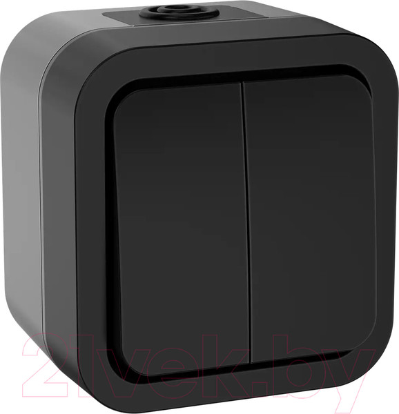 Изображение товара Выключатель IEK Tors TS-V20-0-10-55-K53 (графит)