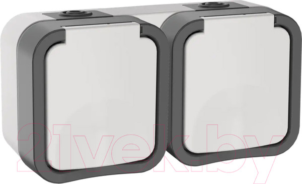 Изображение товара Розетка IEK Tors TS-R26-16-55-G-K41 (белый)