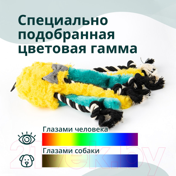 Изображение товара Игрушка для собак MPG brands Elder Club Медуза разноцветная / WB27165-VA
