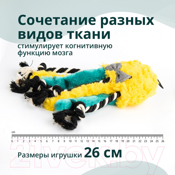 Изображение товара Игрушка для собак MPG brands Elder Club Медуза разноцветная / WB27165-VA