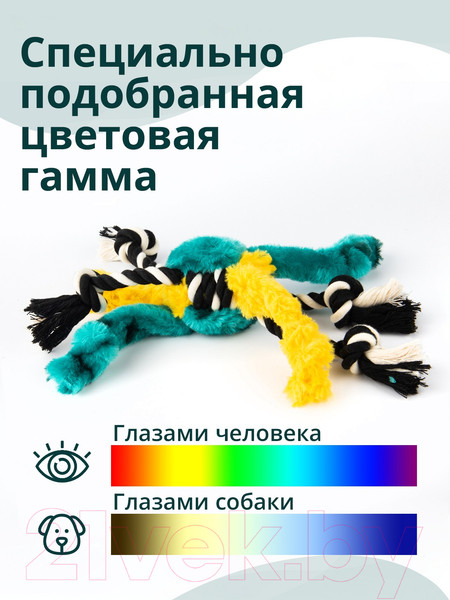 Изображение товара Игрушка для собак MPG brands Elder Club Мяч-паук / WB27151-VA