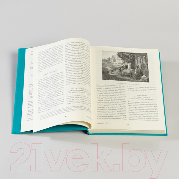 Изображение товара Книга Альпина Господа Головлевы / 9785961485103 (Салтыков-Щедрин М.)