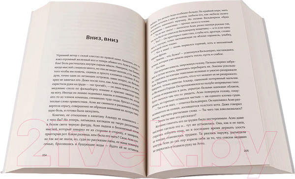 Изображение товара Книга Альпина Поймать океан / 9785961487459 (Войцек В.)
