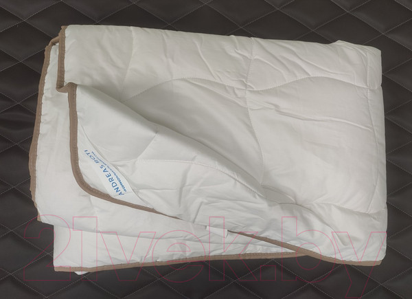 Изображение товара Одеяло Andreas Roti Всесезонное Бязь Шерсть / ОС010302.3241 (140x205, волна белый)