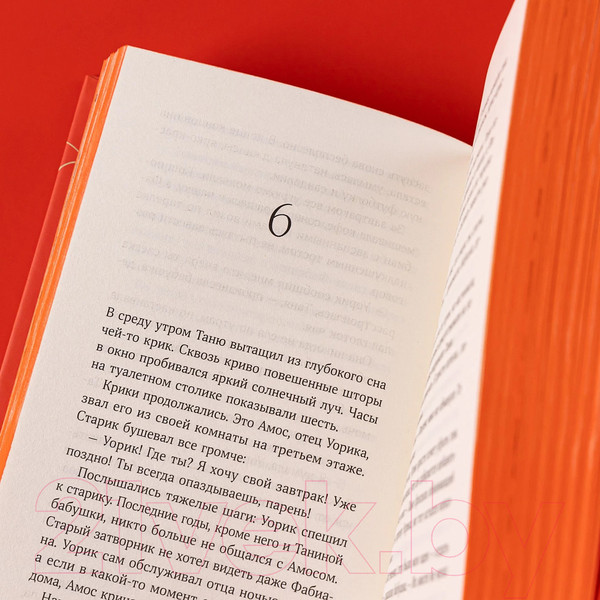 Изображение товара Книга Альпина 13 сокровищ / 9785961488821 (Харрисон М.)