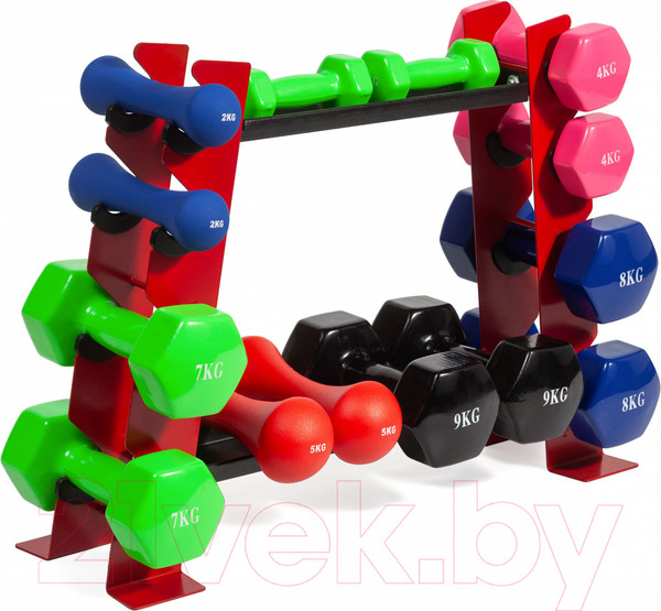 Изображение товара Стойка для спортивного инвентаря VictoryFit VF-D4010 (красный)