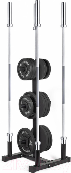 Изображение товара Стойка для спортивного инвентаря VictoryFit VF-D4007 (черный)