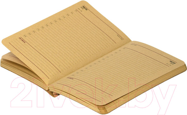 Изображение товара Ежедневник Lorex Eco Craft / LXDRA6-EC (96л, коричневый)