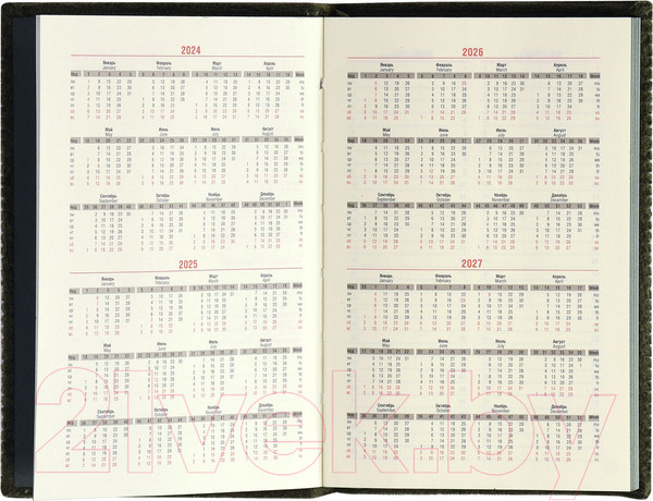 Изображение товара Ежедневник Lorex Oblivion / LXDRA6-ON (48л, темно-серый)