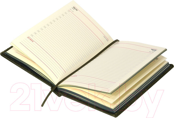 Изображение товара Ежедневник Lorex Oblivion / LXDRA6-ON (48л, темно-серый)