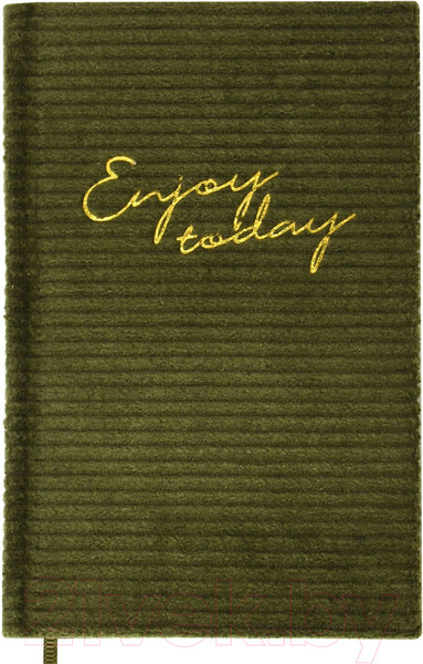 Изображение товара Ежедневник Lorex Oblivion / LXDRA6-ON (48л, темно-серый)