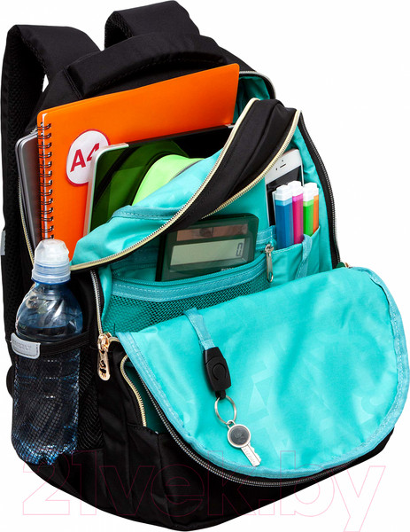 Изображение товара Рюкзак Grizzly RG-460-5 (черный)