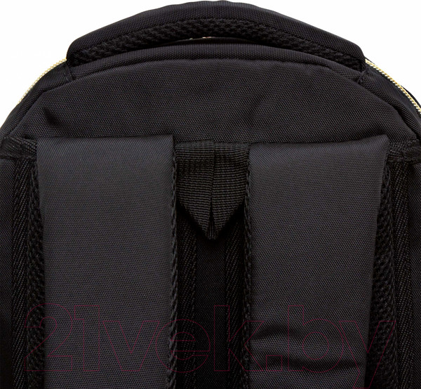 Изображение товара Рюкзак Grizzly RG-460-5 (черный)