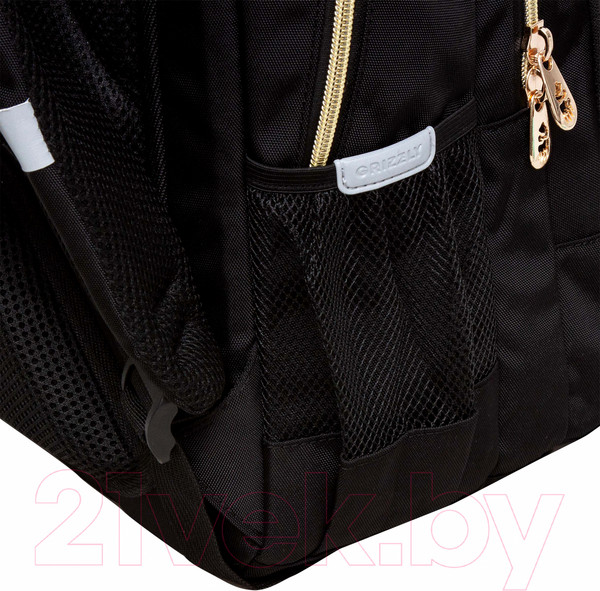 Изображение товара Рюкзак Grizzly RG-460-5 (черный)