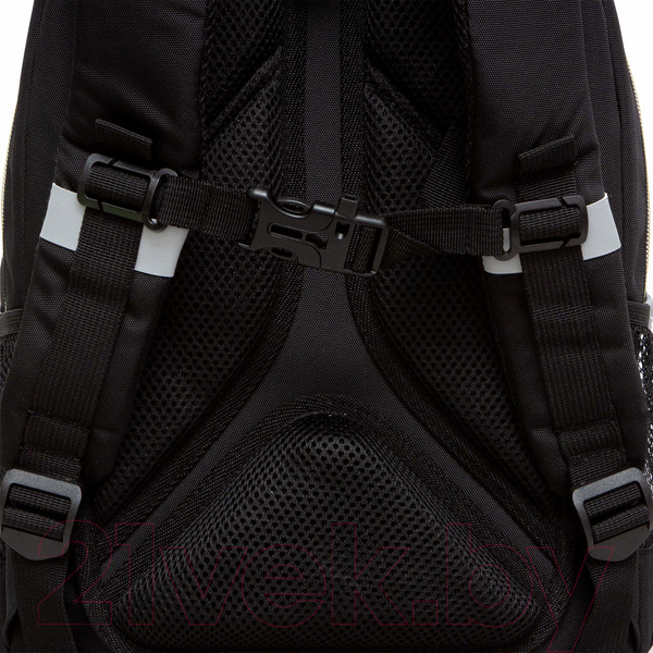 Изображение товара Рюкзак Grizzly RG-460-5 (черный)