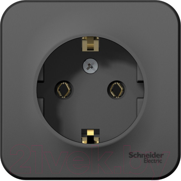 Изображение товара Розетка Systeme (Schneider) Electric Blanca BLNRA010116